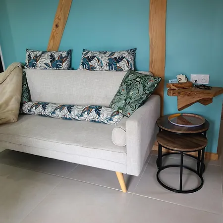 - - - - -les Colombages - - - - D'hotes-gite- Classement 3 Etoiles Διαμέρισμα Mirepoix (Ariege)