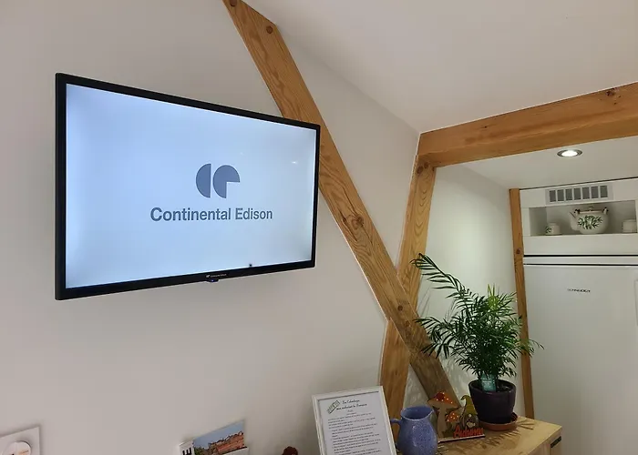 Appartement - - - - -les Colombages - - - - D'hôtes-gîte- Classement 3 étoiles Mirepoix (Ariege)