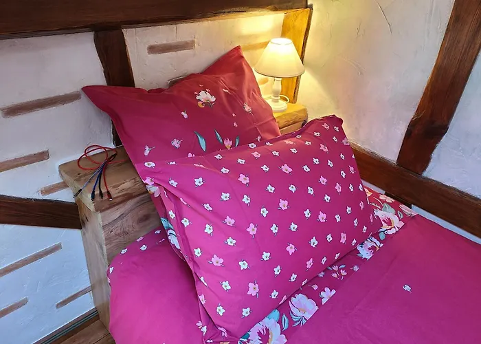 Apartamento - - - - -les Colombages - - - - D'hôtes-gîte- Classement 3 étoiles *